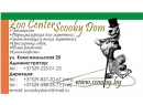 Zoo Center Scooby Dom. Зооуслуги Брест